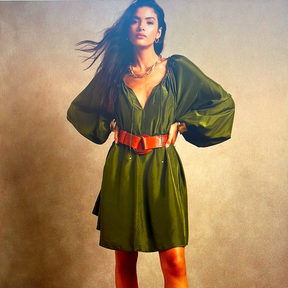 Banana Republic Reverie silk dress